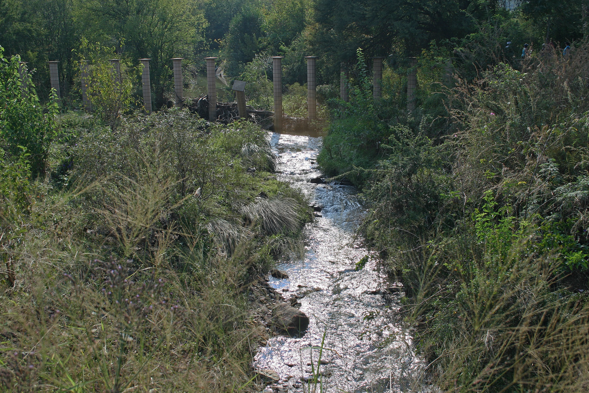 water stream river free photo