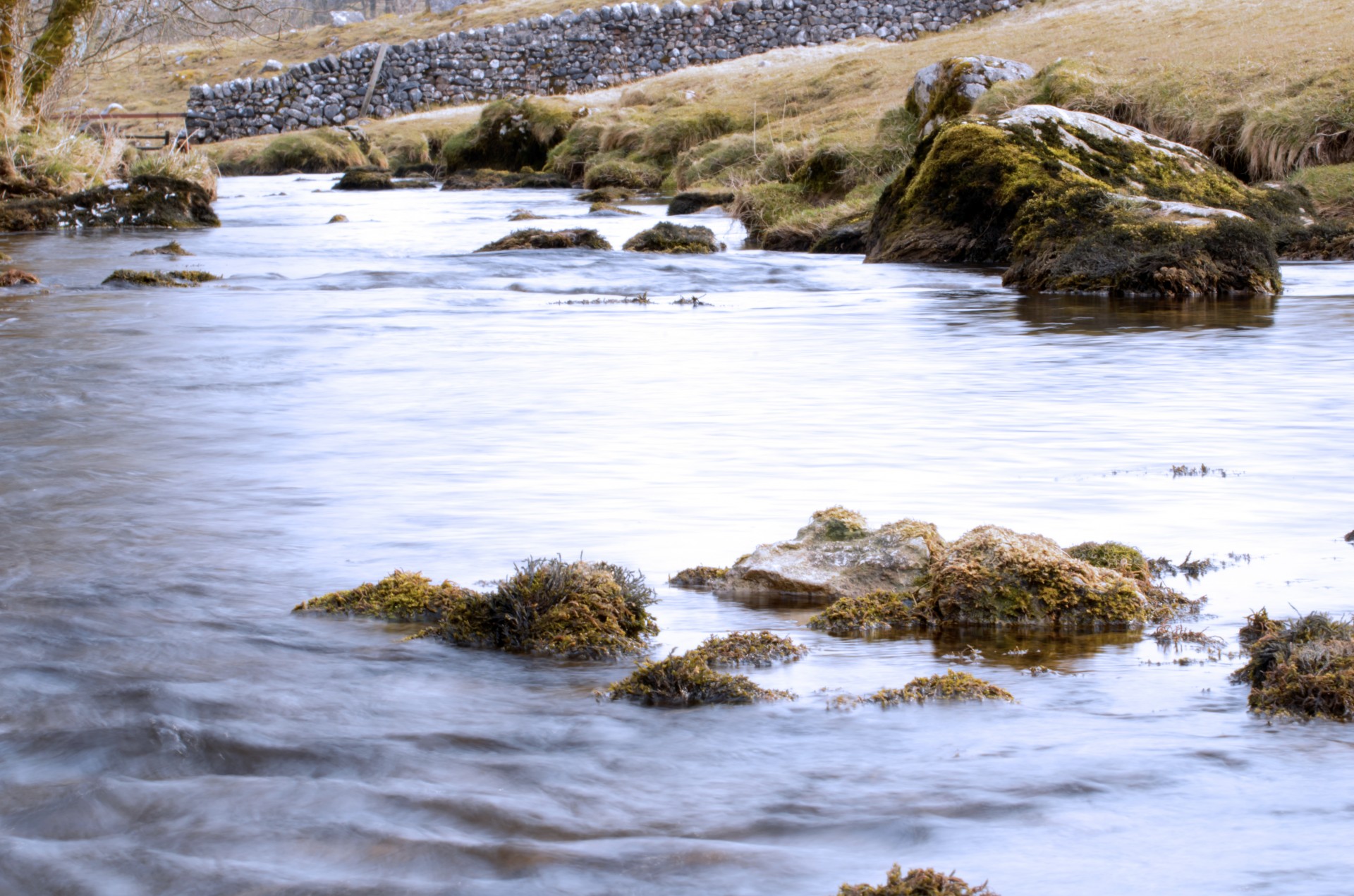 stream water nature free photo