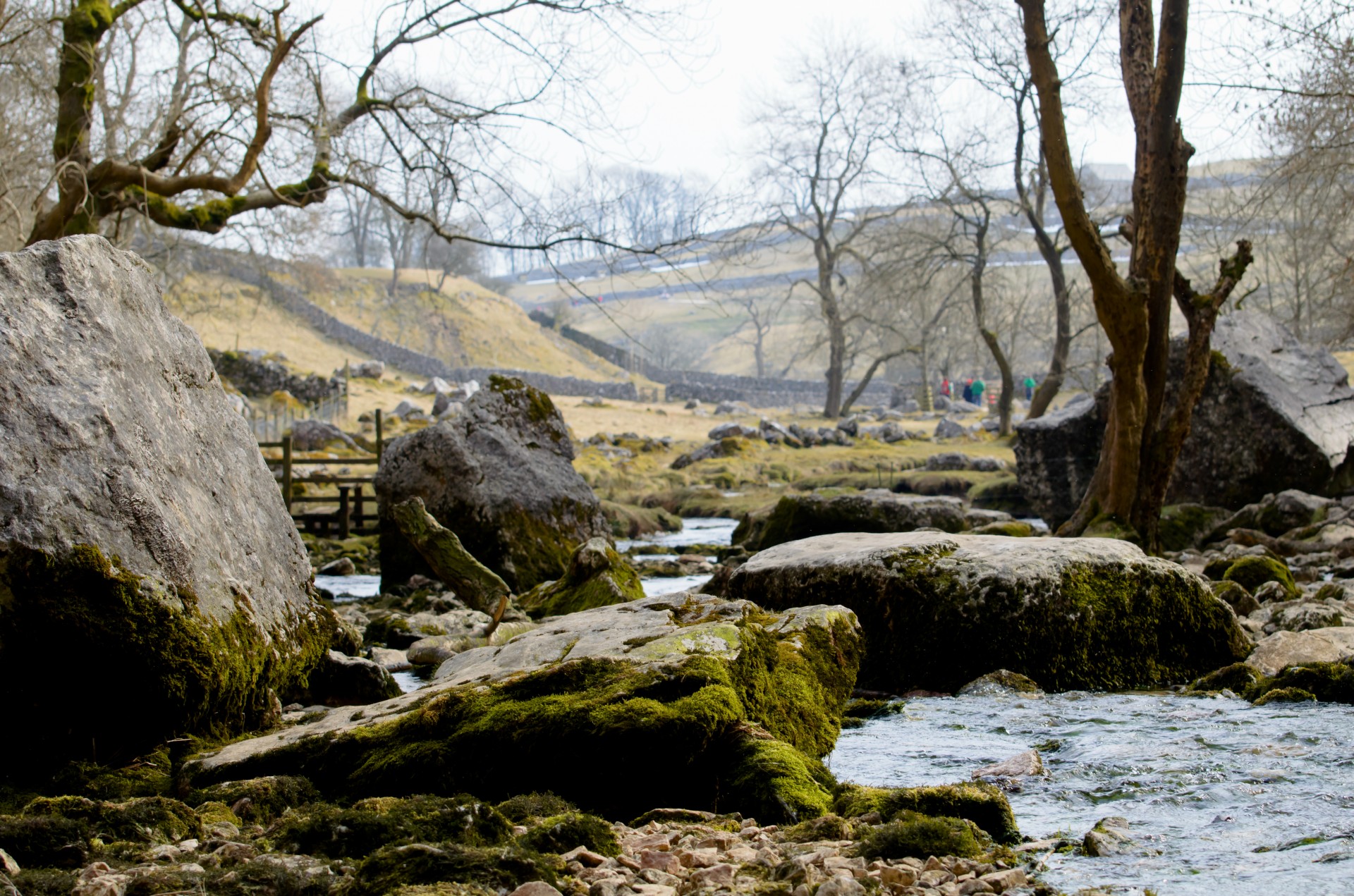 stream water power free photo