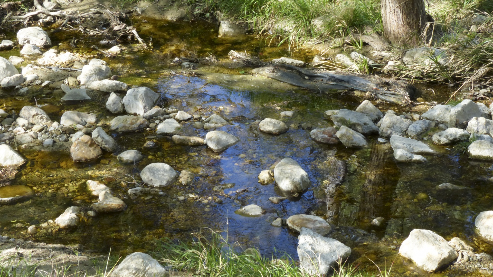 stream brook park free photo