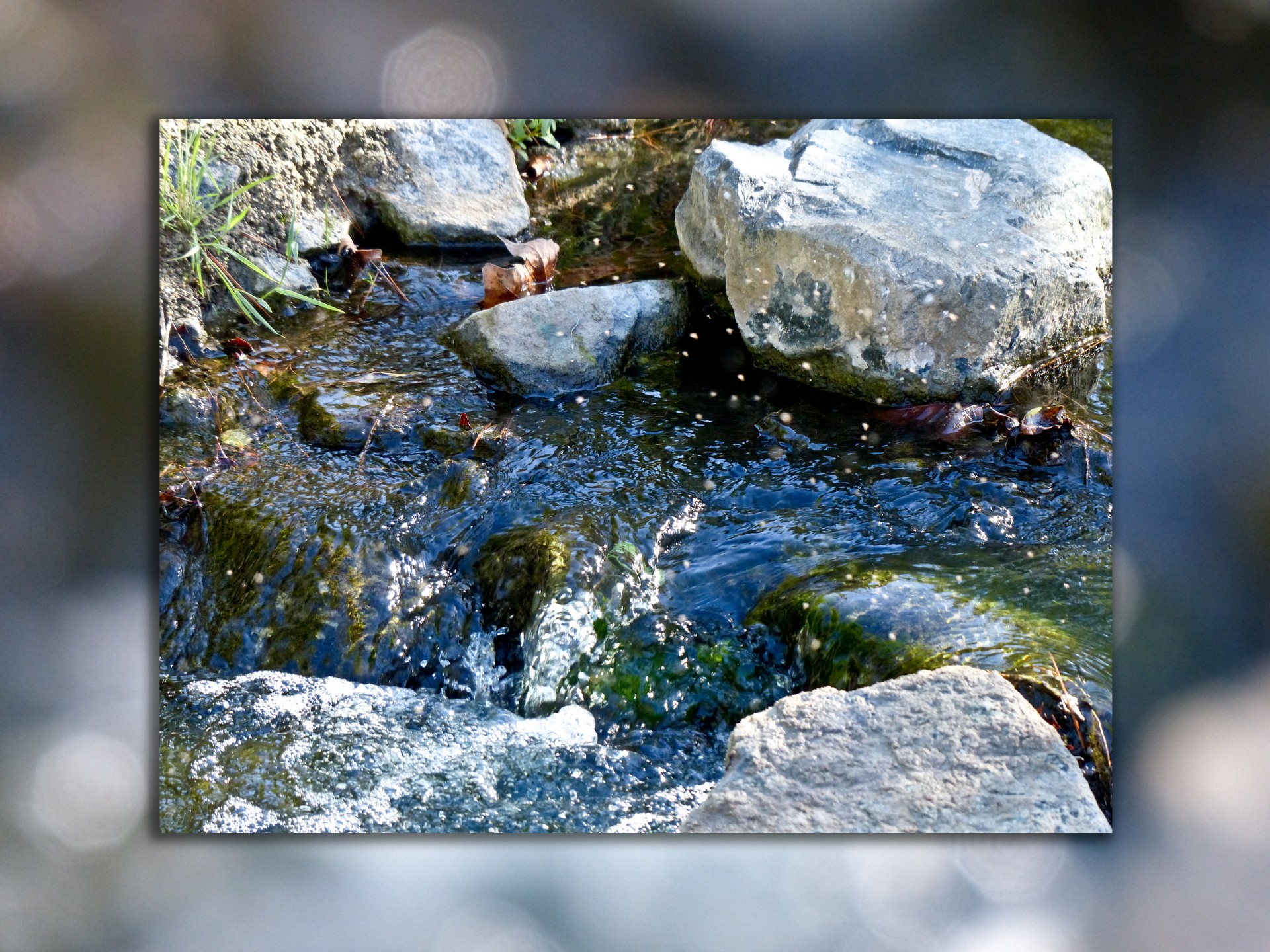 soliloquy water stream free photo
