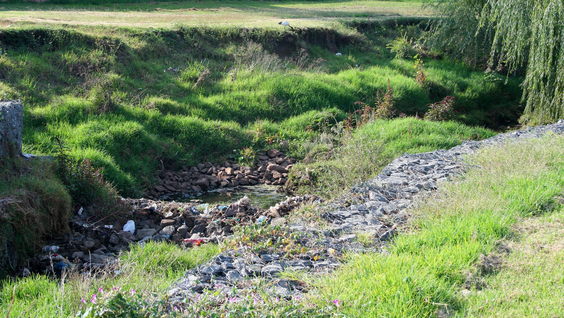 river bed pebbles free photo