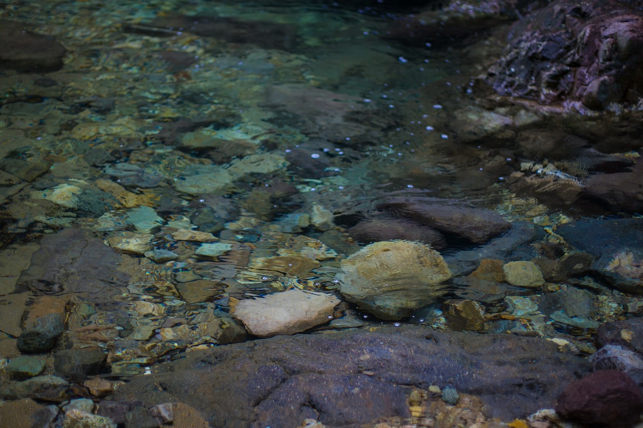 streams  pebble  natural free photo