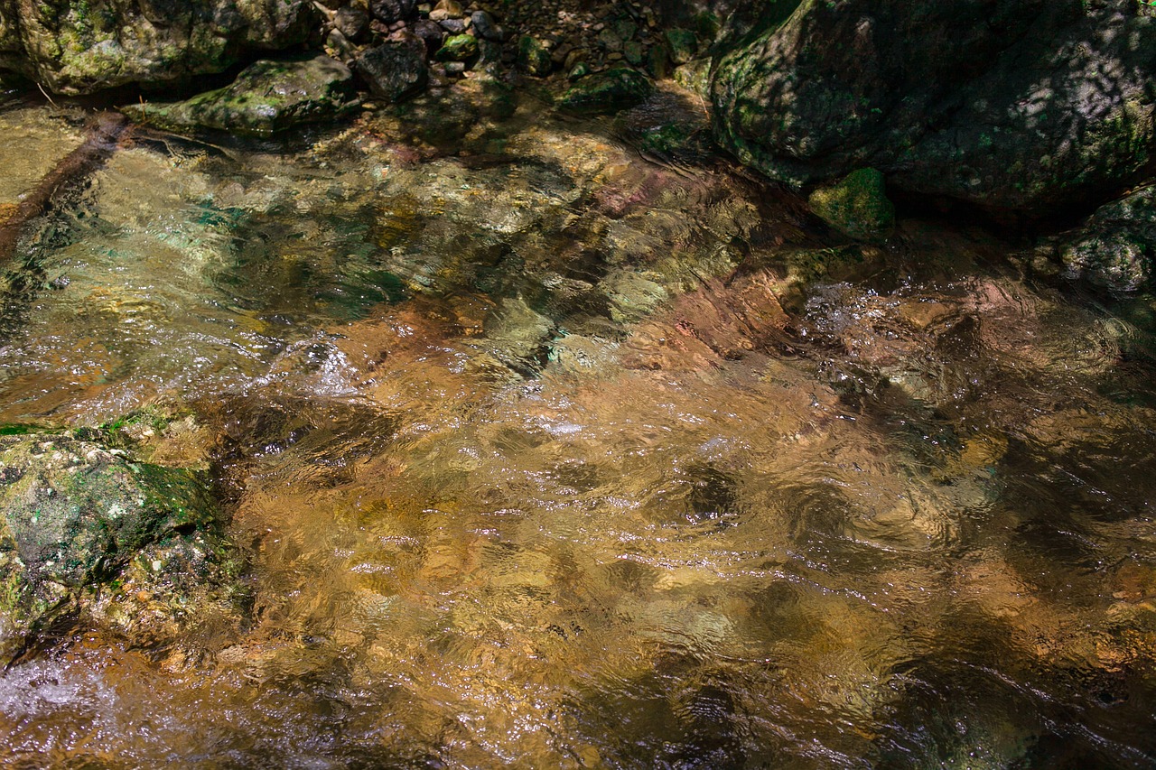streams  pebble  natural free photo