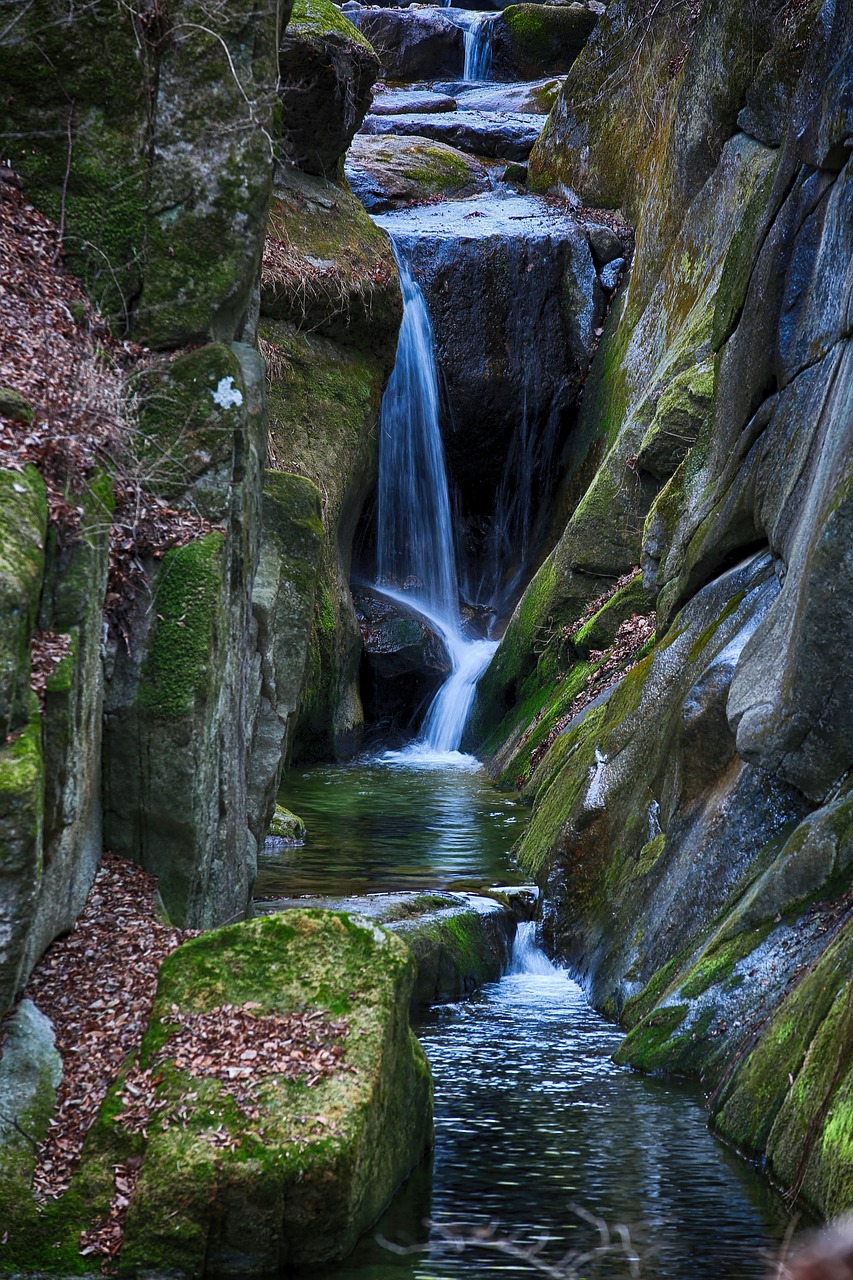 streams  nature  the creek free photo