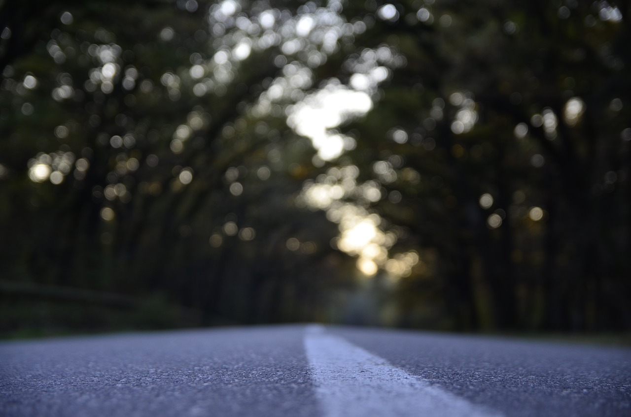 street asphalt line free photo