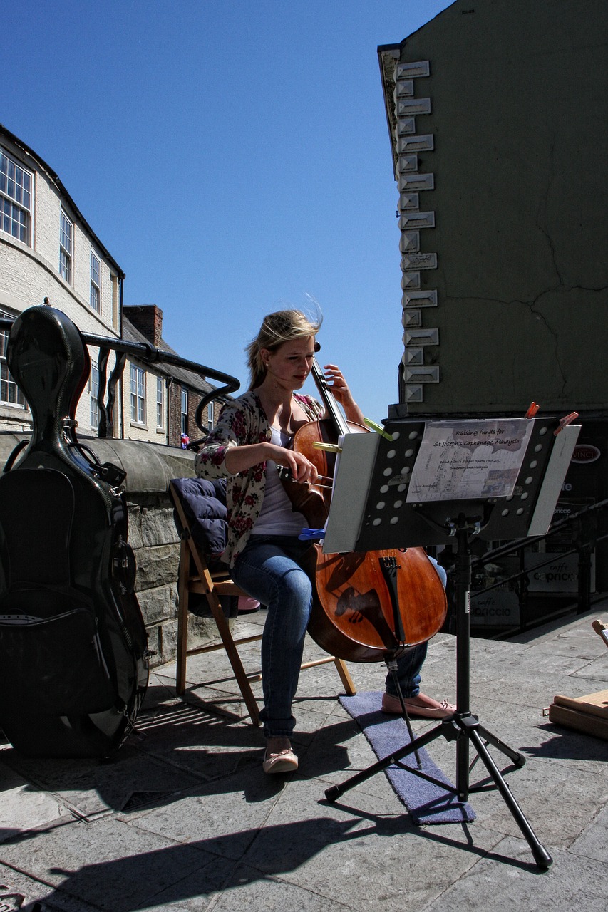 street entertainer busker free photo