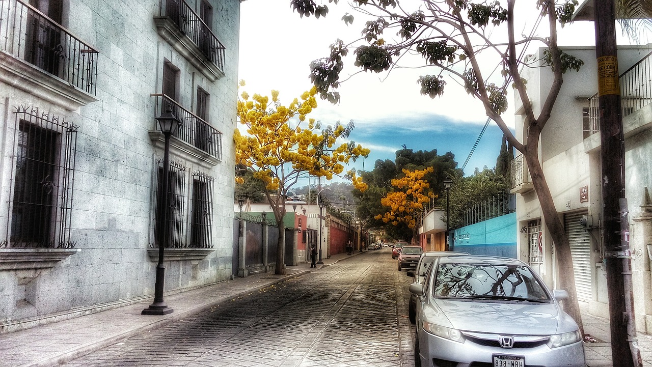 street oaxaca colonial free photo