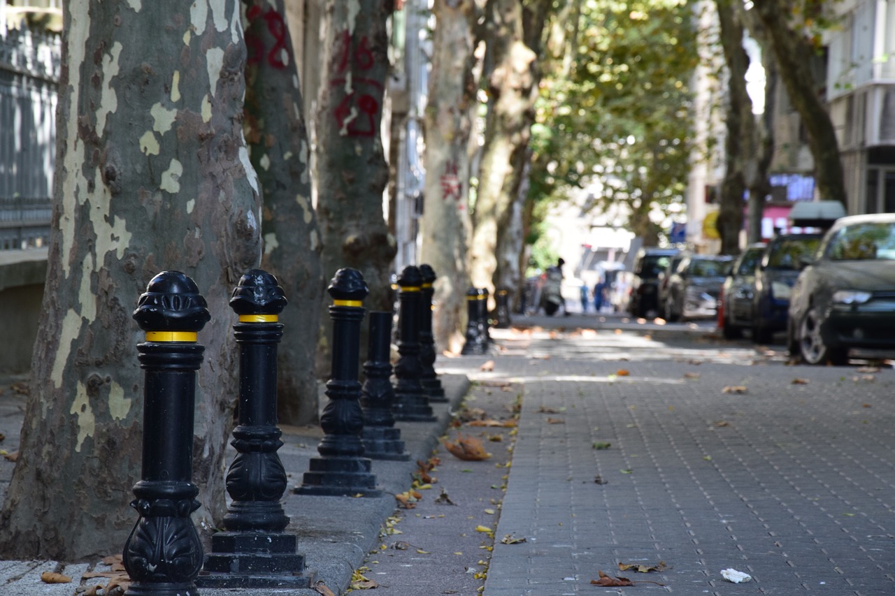 street istanbul city free photo