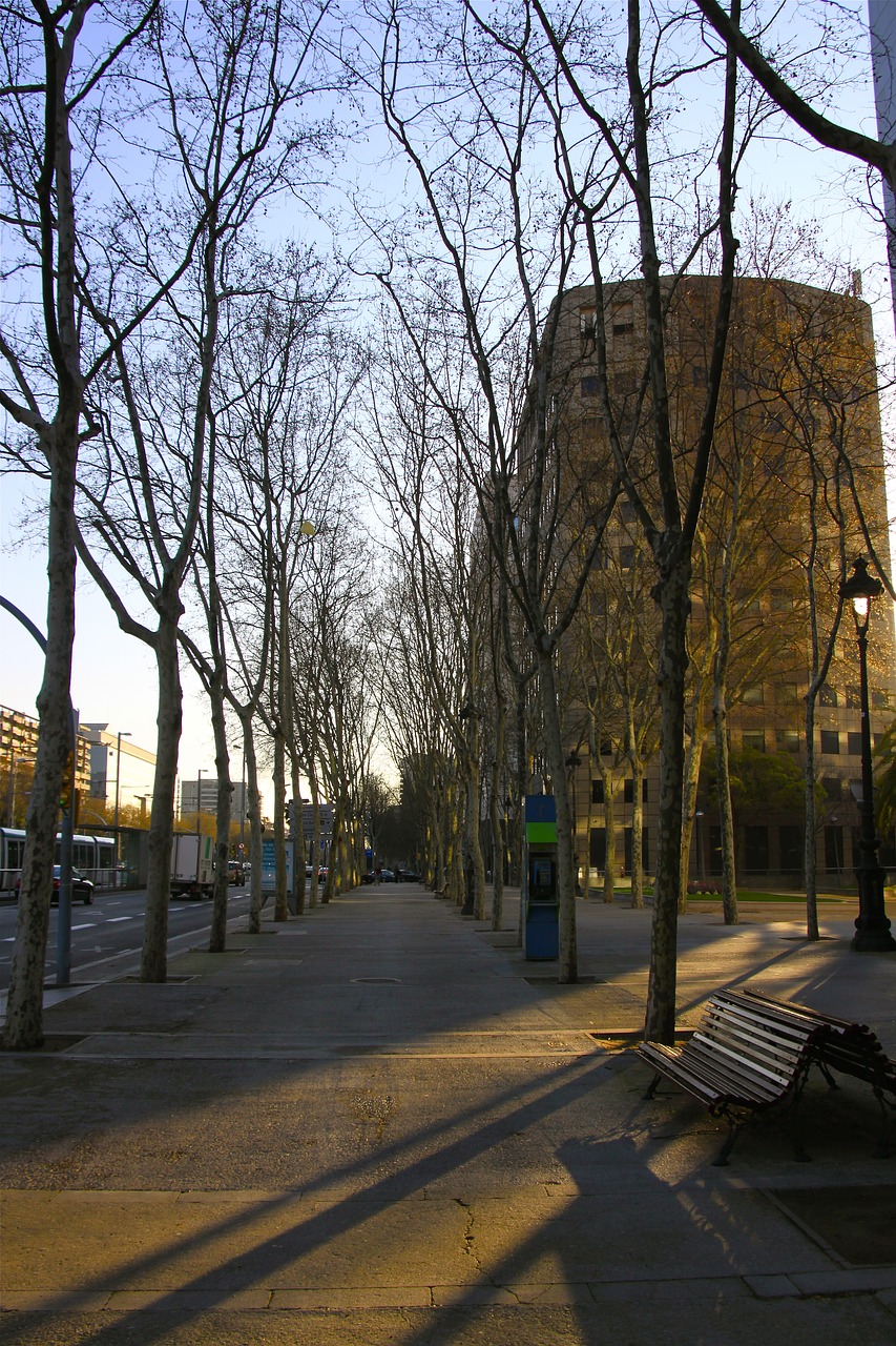 street spain barcelona free photo