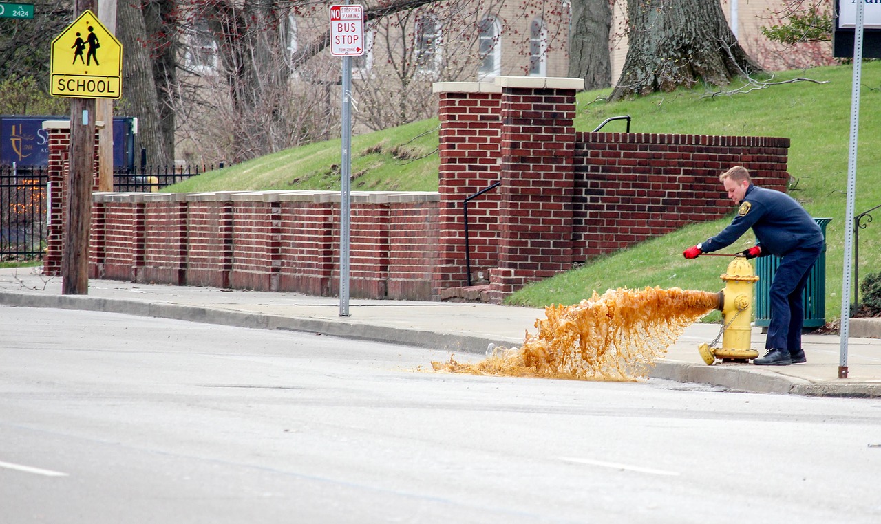 street road outdoors free photo