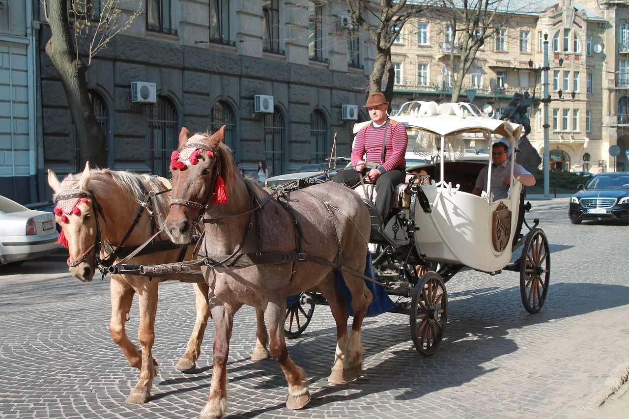 street  people  megalopolis free photo