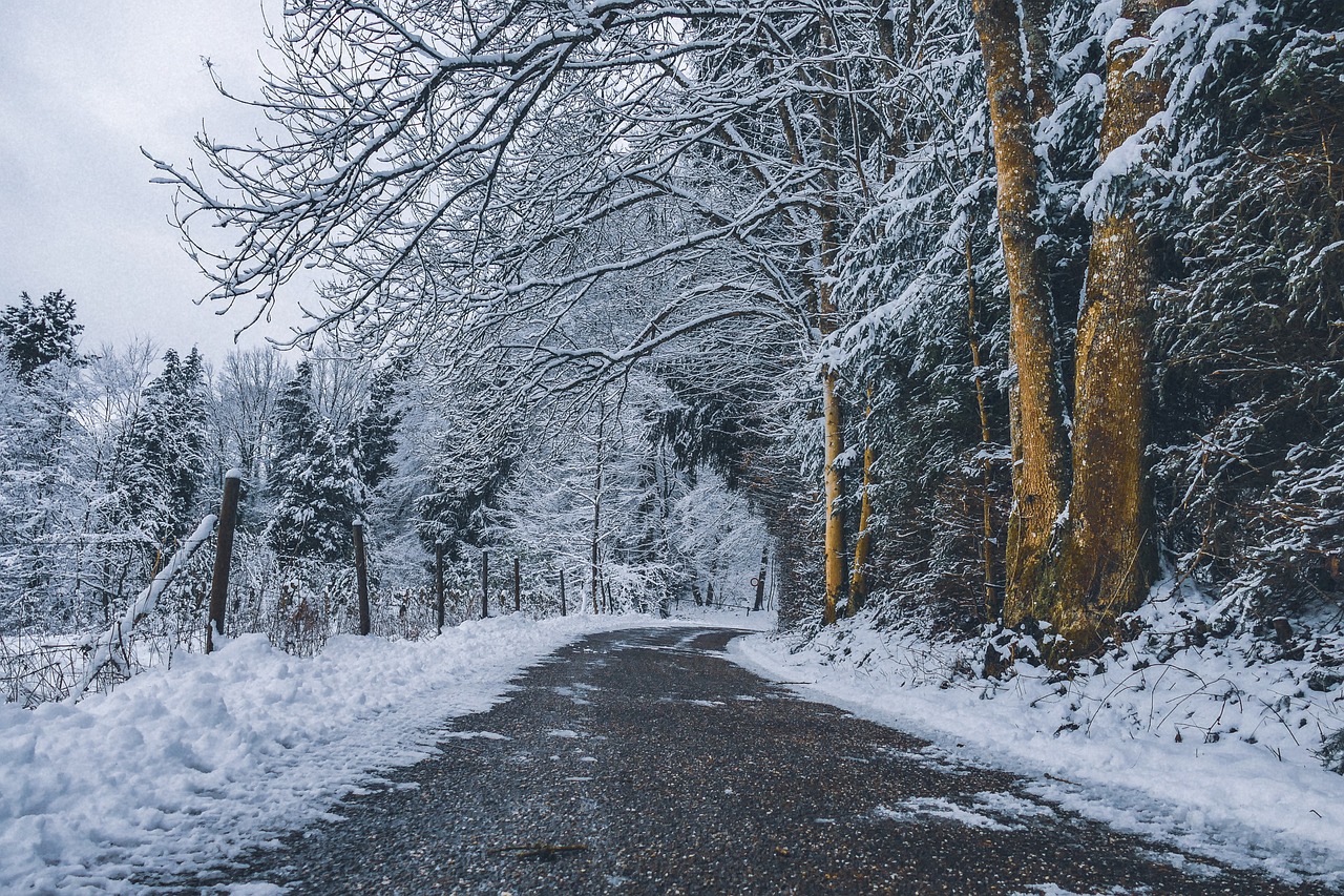 street  snow  winter free photo