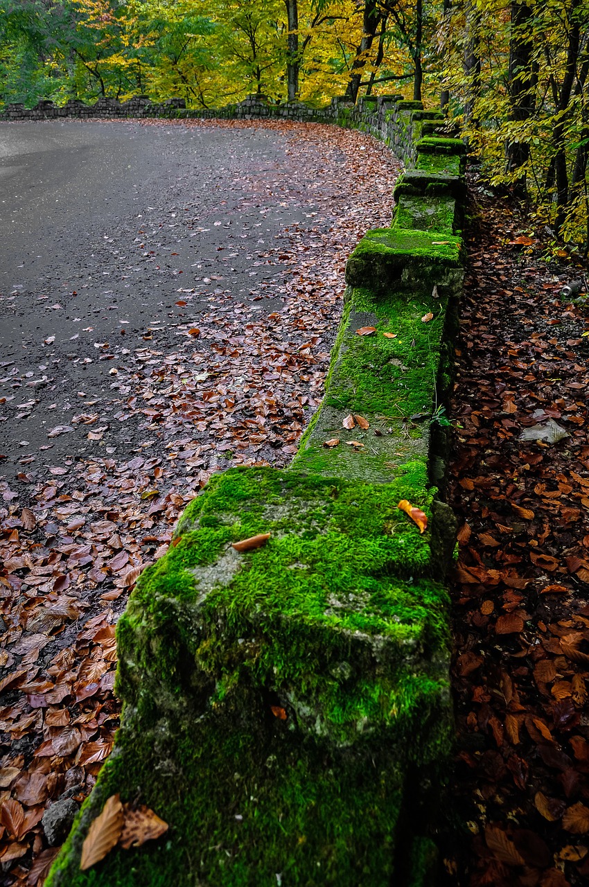 street outdoor road free photo