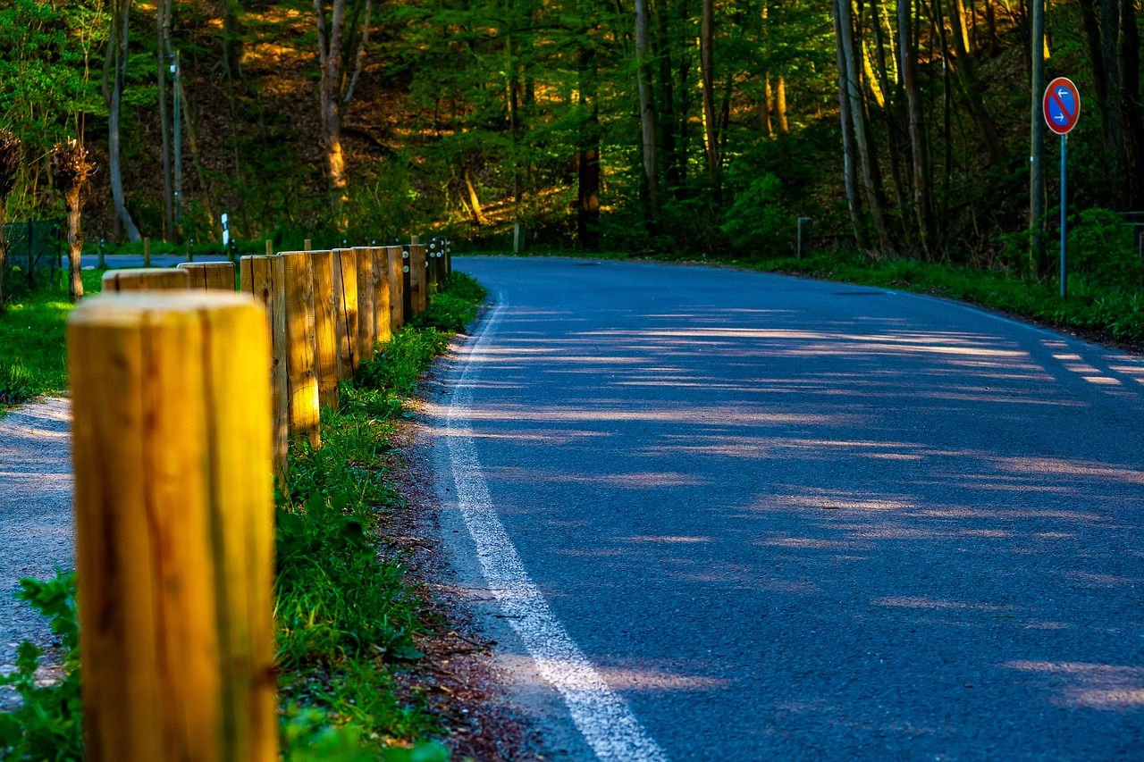 street  lights  shadow free photo