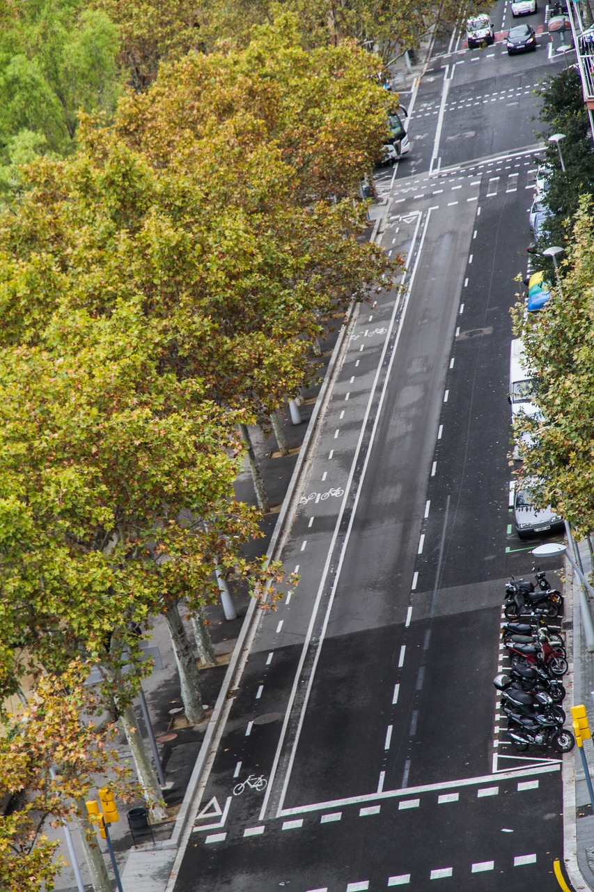 street barcelona spain free photo