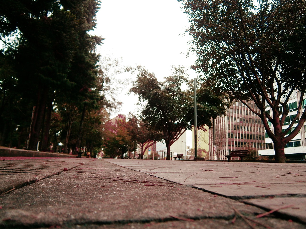 street park city free photo