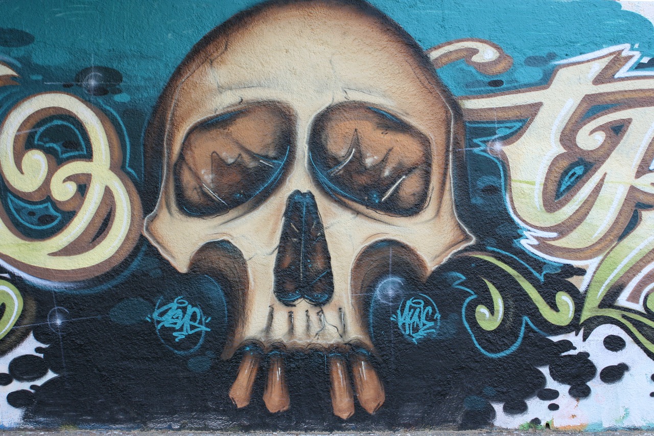 skull graphics painting free photo