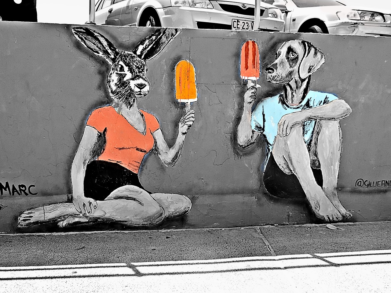 street art bondi beach australia free photo