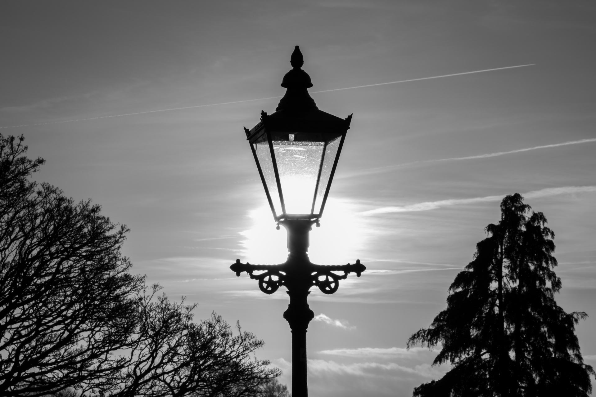 lamp street lamps free photo