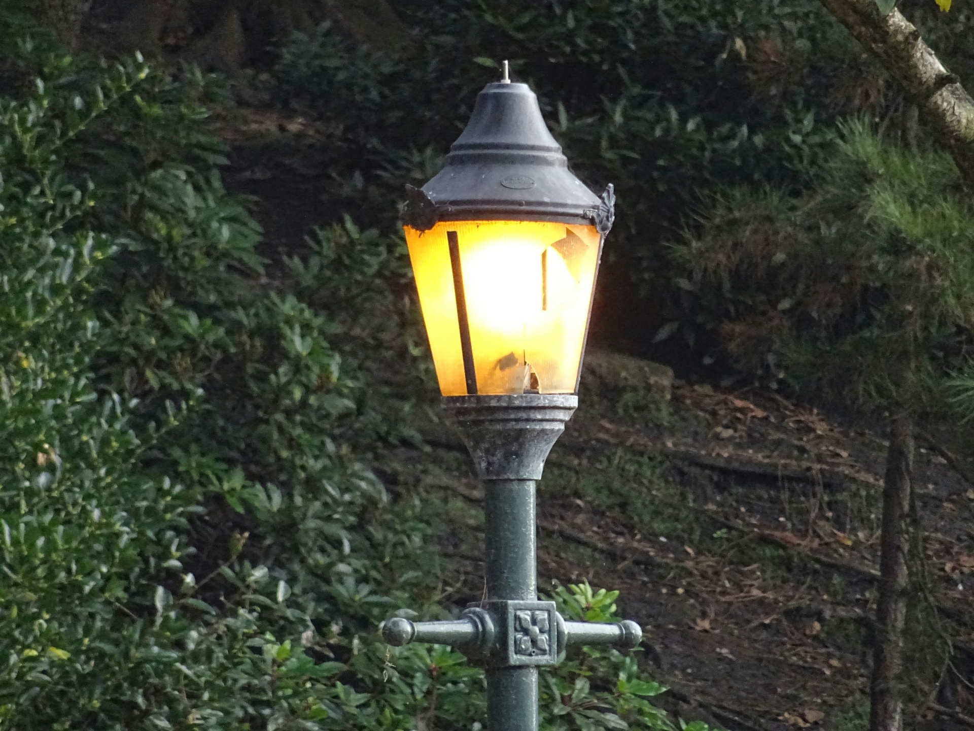 lamp lamps light free photo