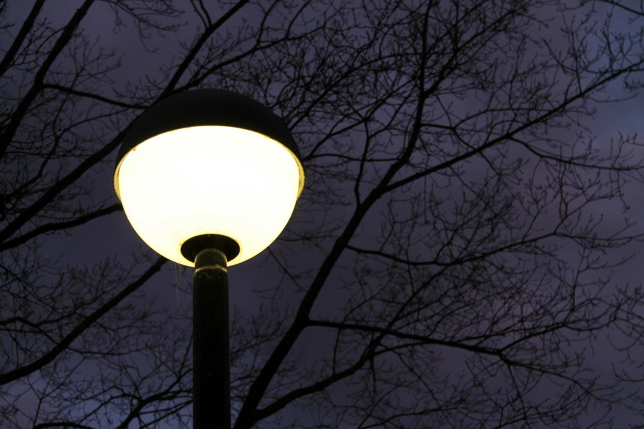 street lamp pathway lighting lighting free photo