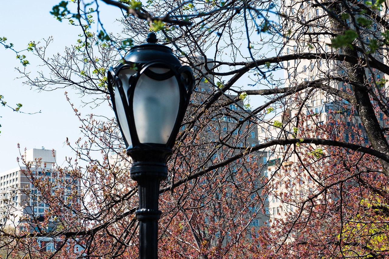 street lamp  new york city  central park free photo