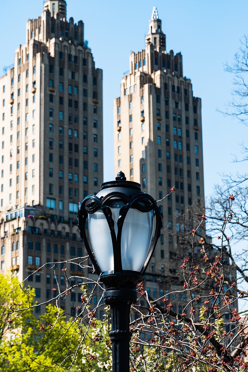 street lamp  new york city  central park free photo