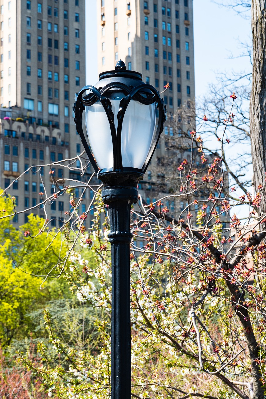 street lamp  new york city  central park free photo