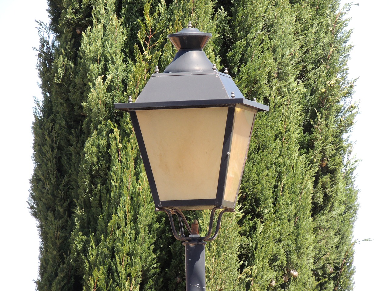 street lamp background light free photo