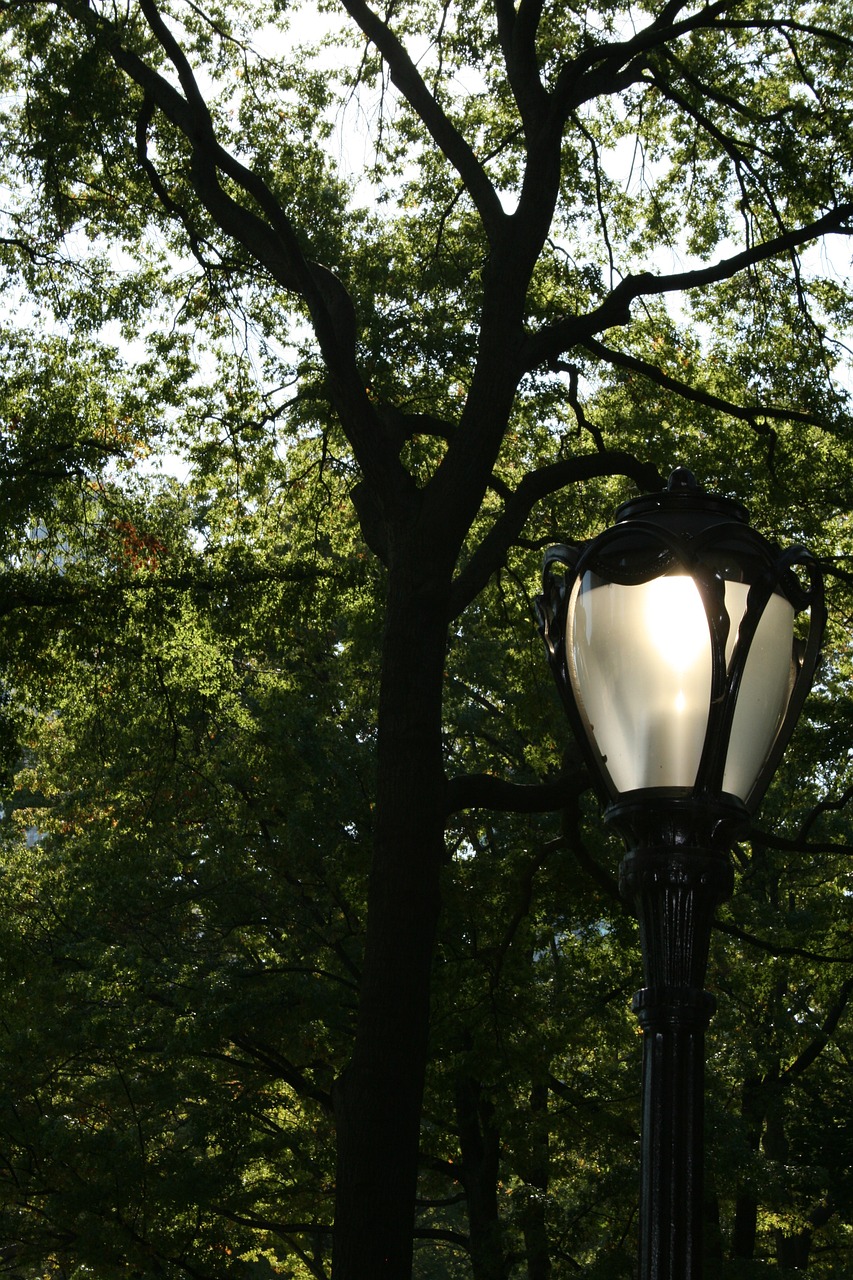 street lamp lamp tree free photo