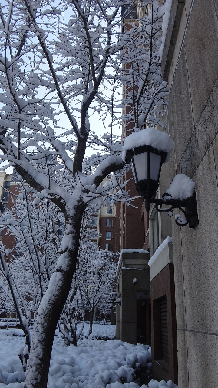 street lamp community snow free photo