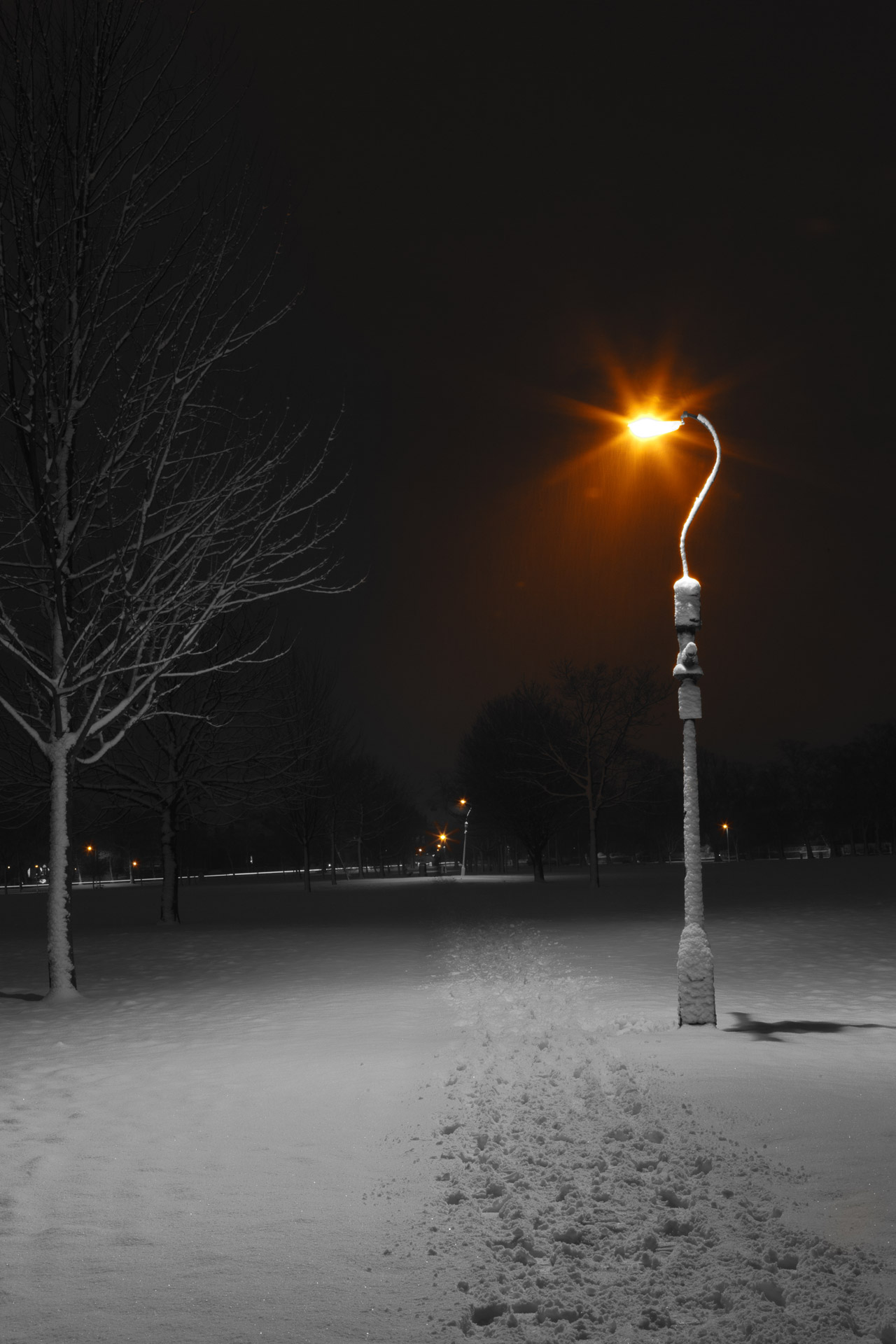cold street lamp light free photo