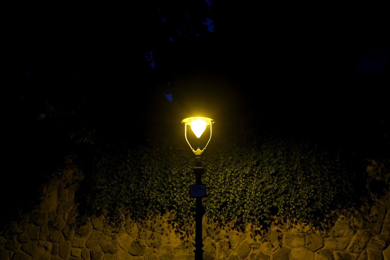 street light night street lamp free photo
