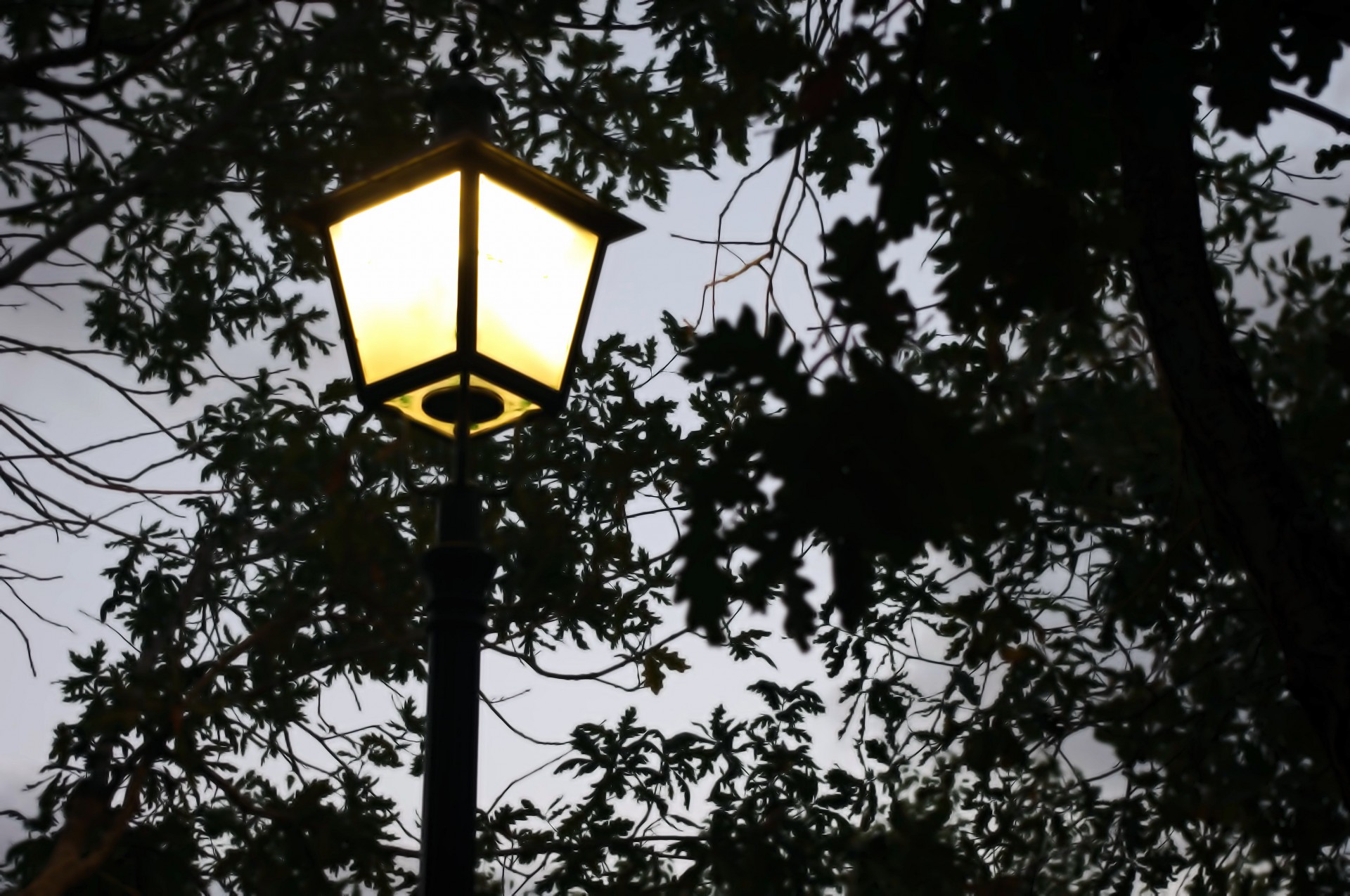 street light lamp free photo