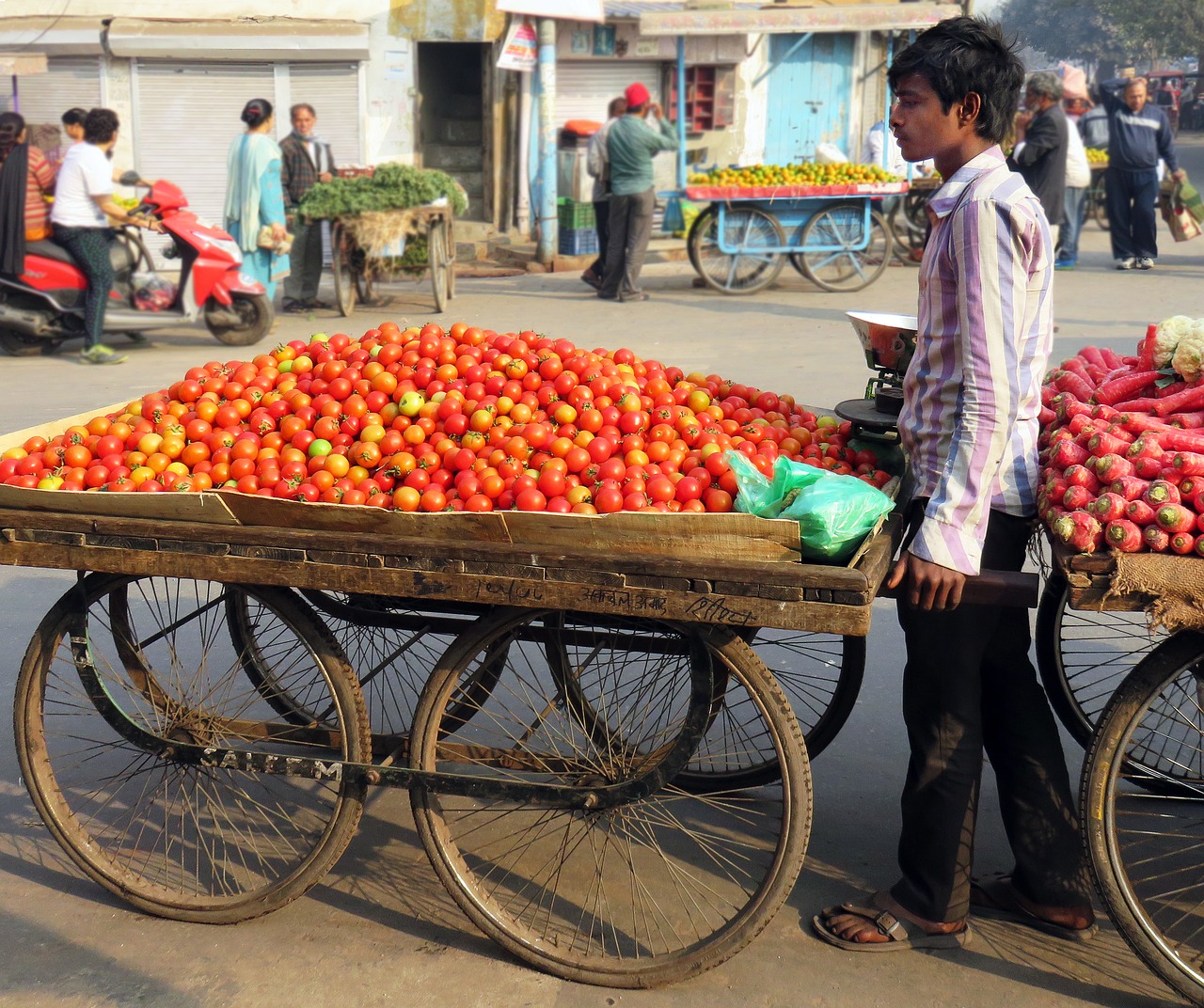 street trading tomatoes dealer free photo
