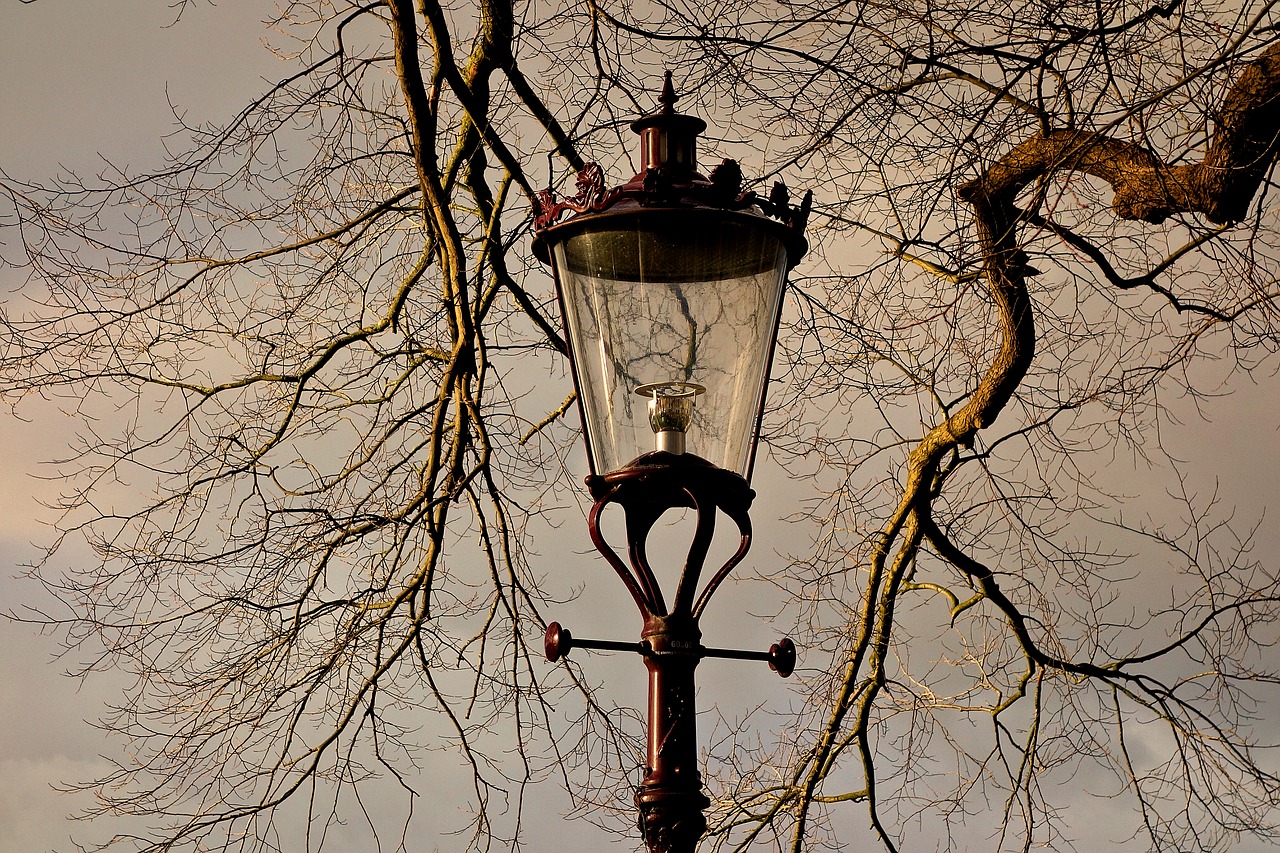 streetlamp lantern street lantern free photo