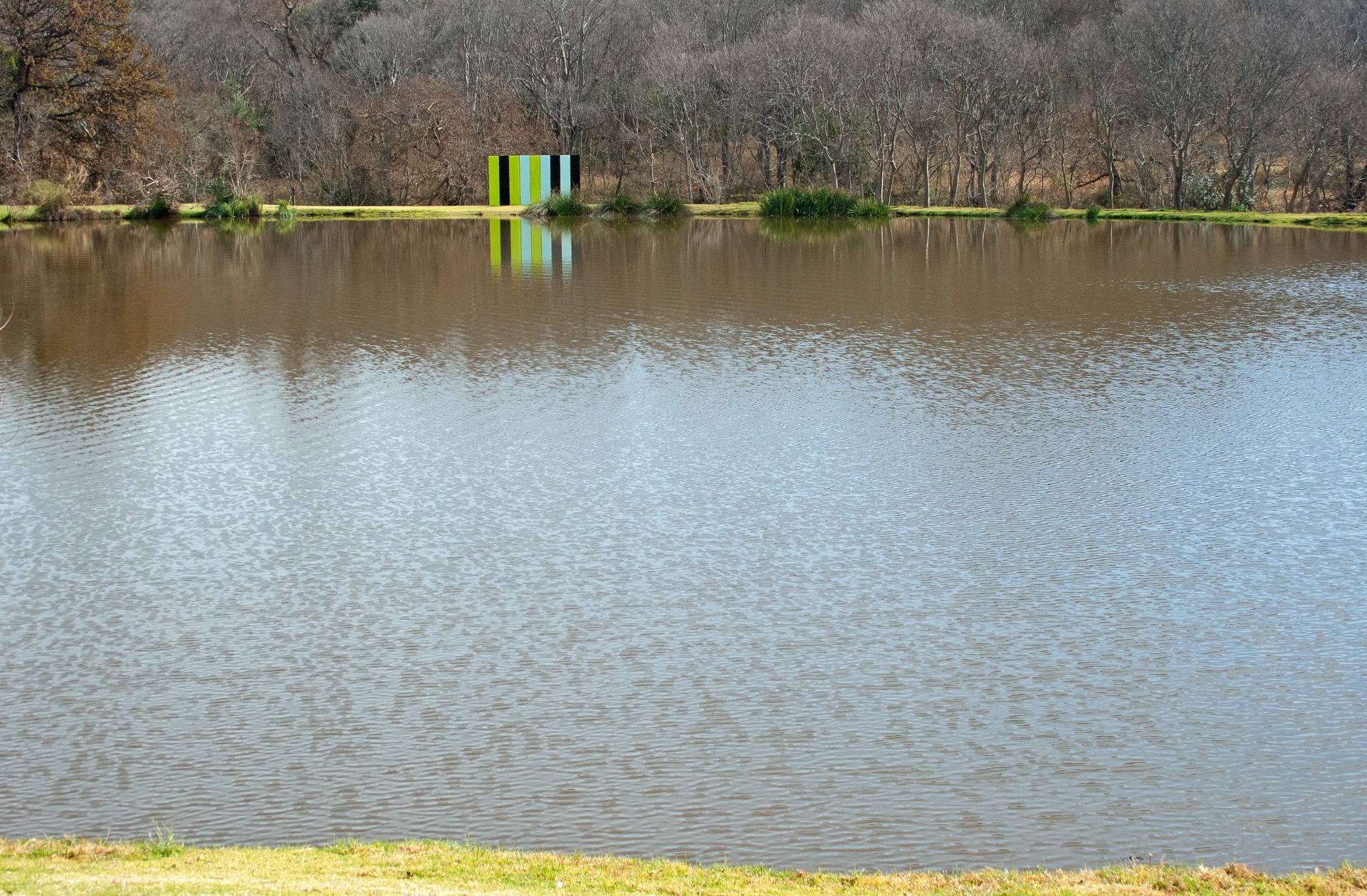 park water pond free photo