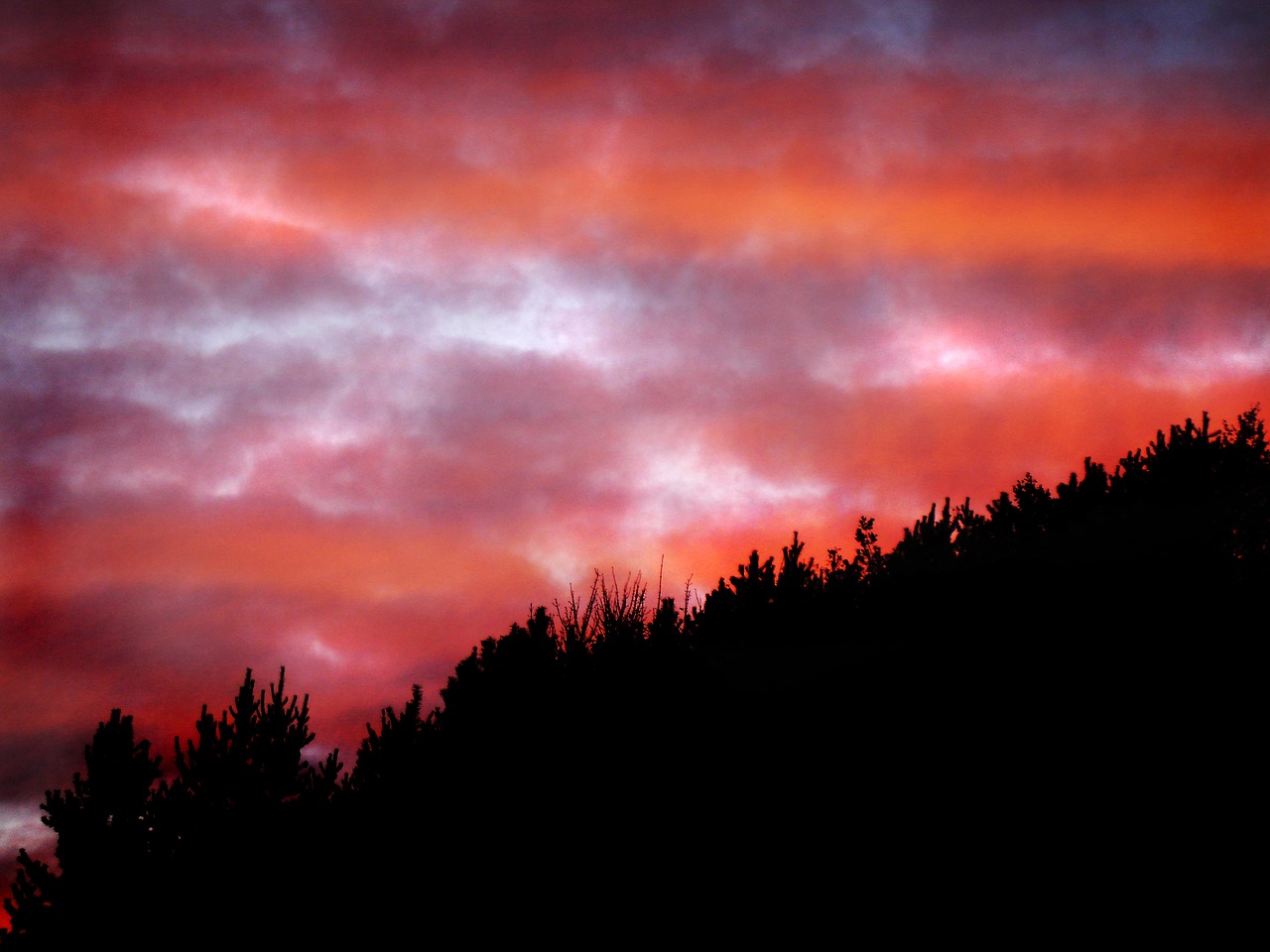 strinesdale lancashire red free photo