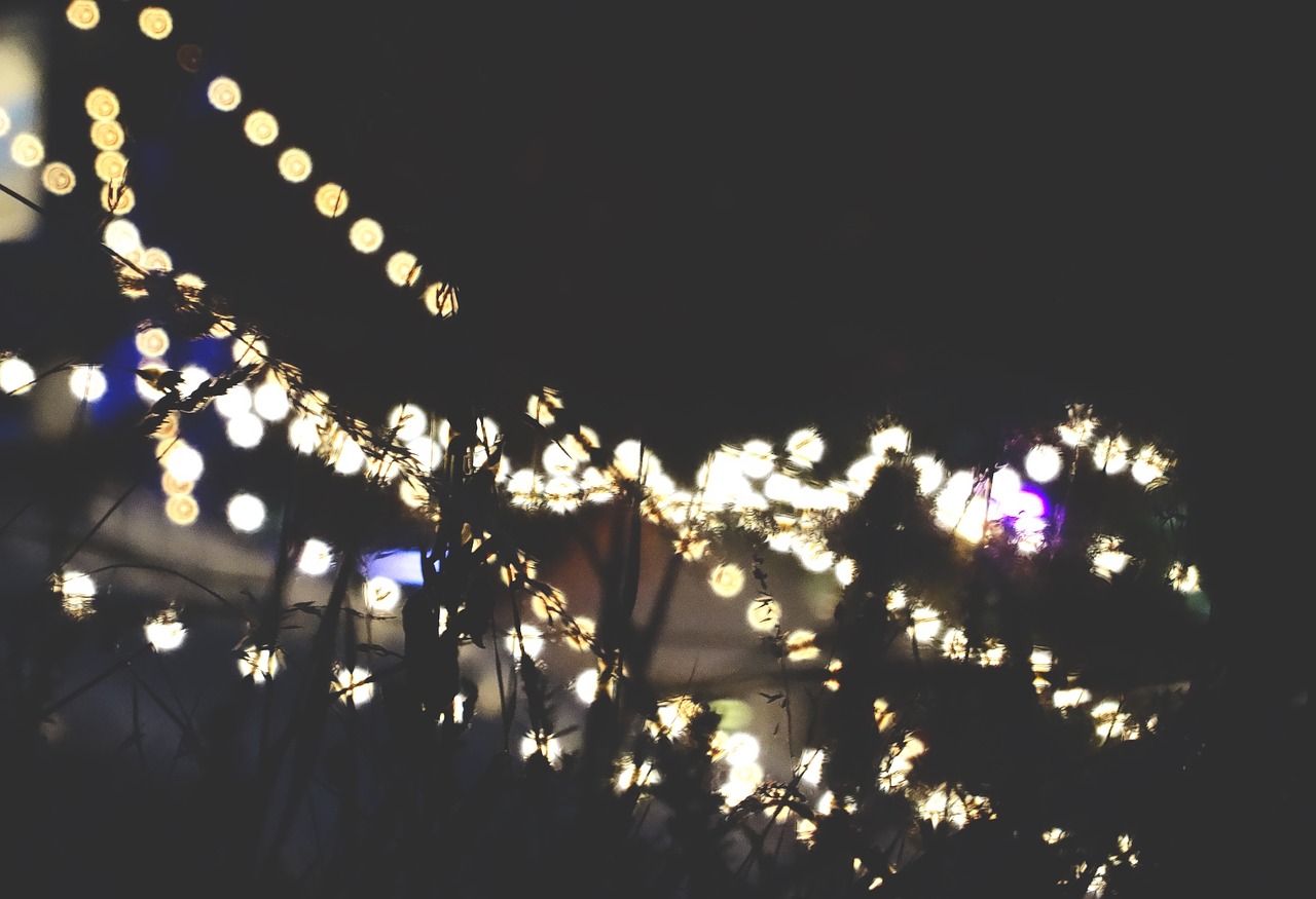 string lights night dark free photo