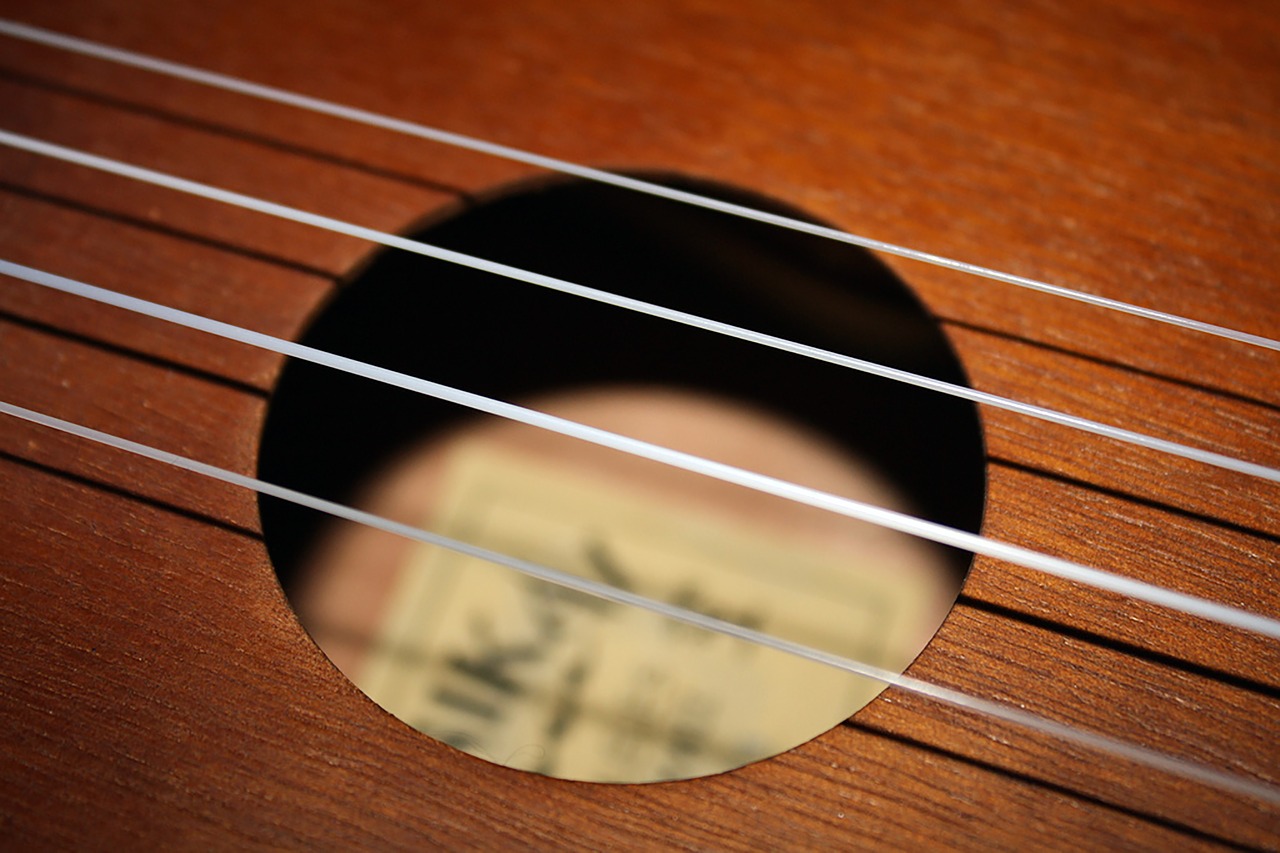 strings  ukulele  instrument free photo