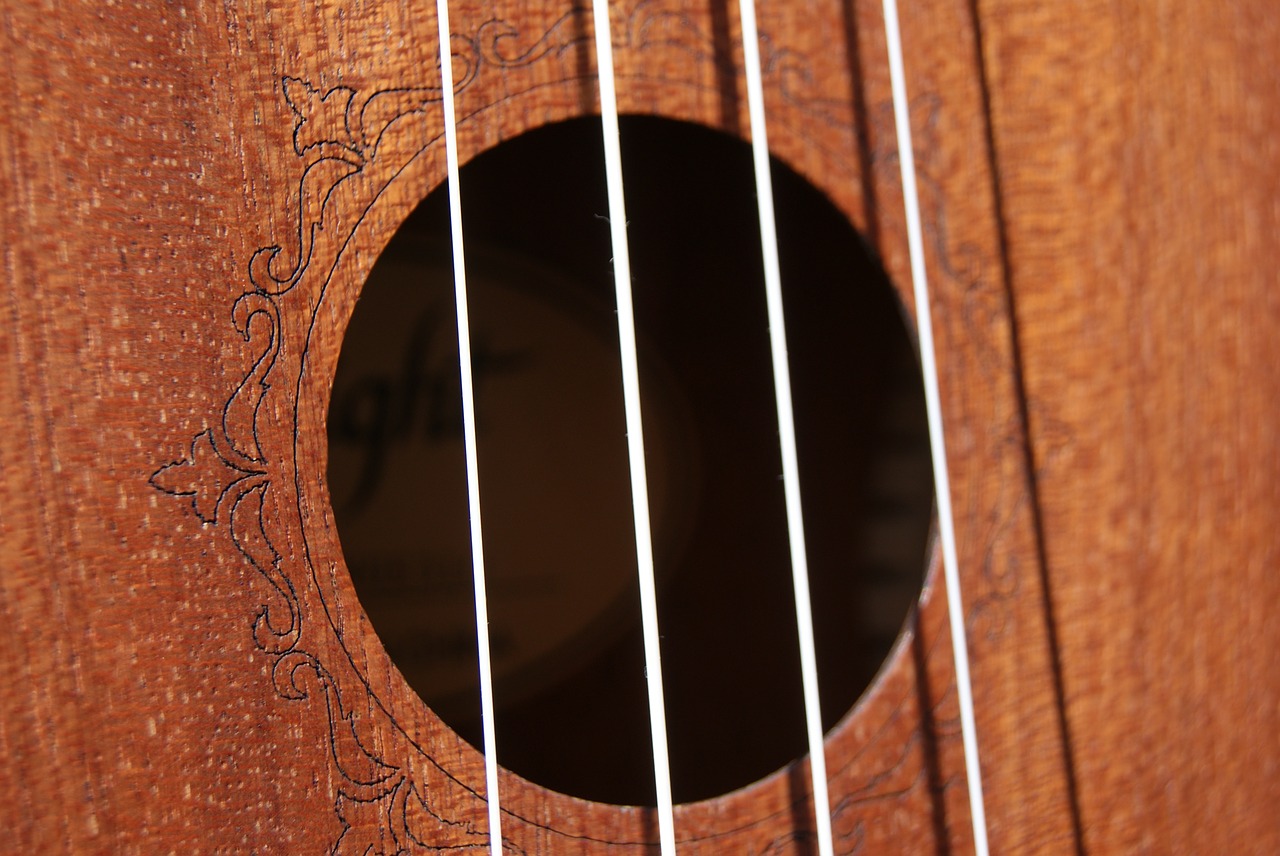 strings ukulele music free photo