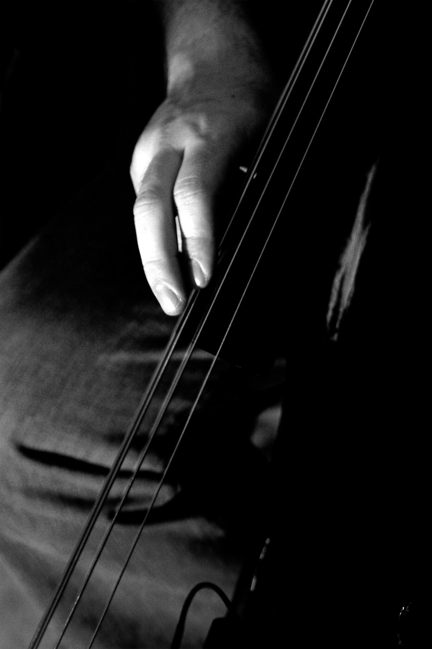 strings black and white bass free photo
