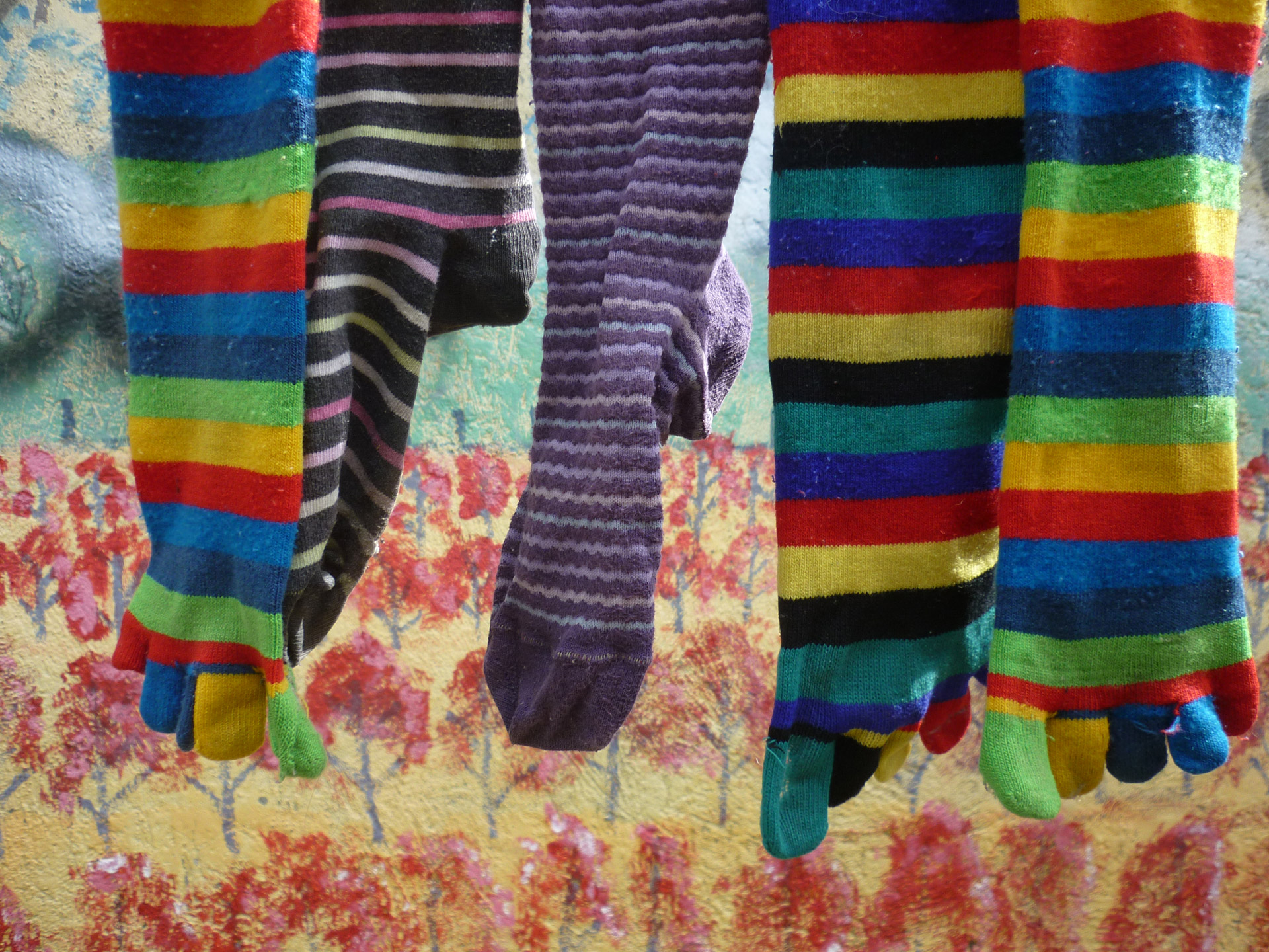 socks stripy stripes free photo