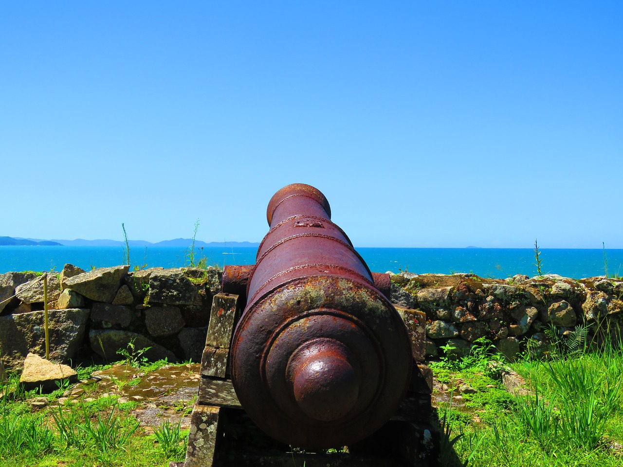 strong cannon nature free photo