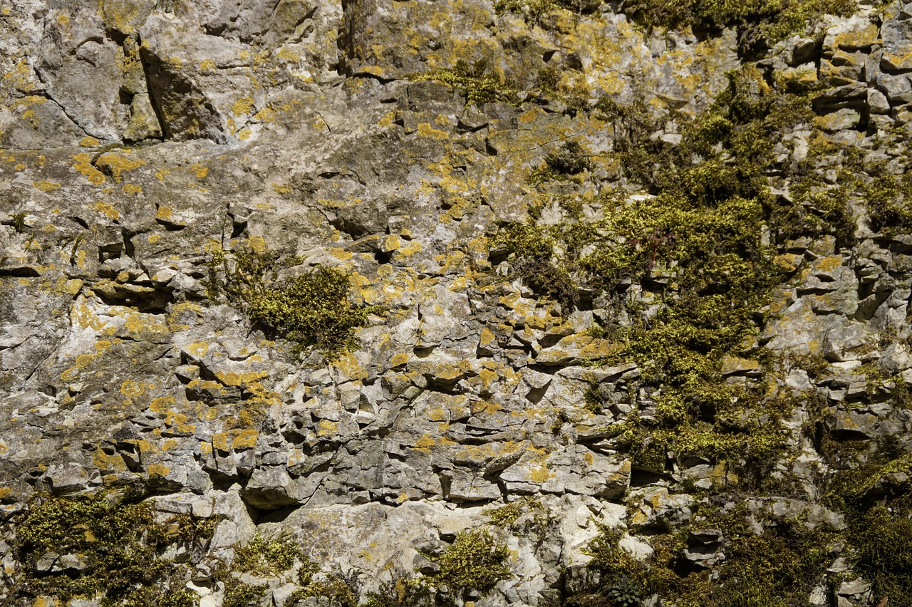 structure limestone rock free photo