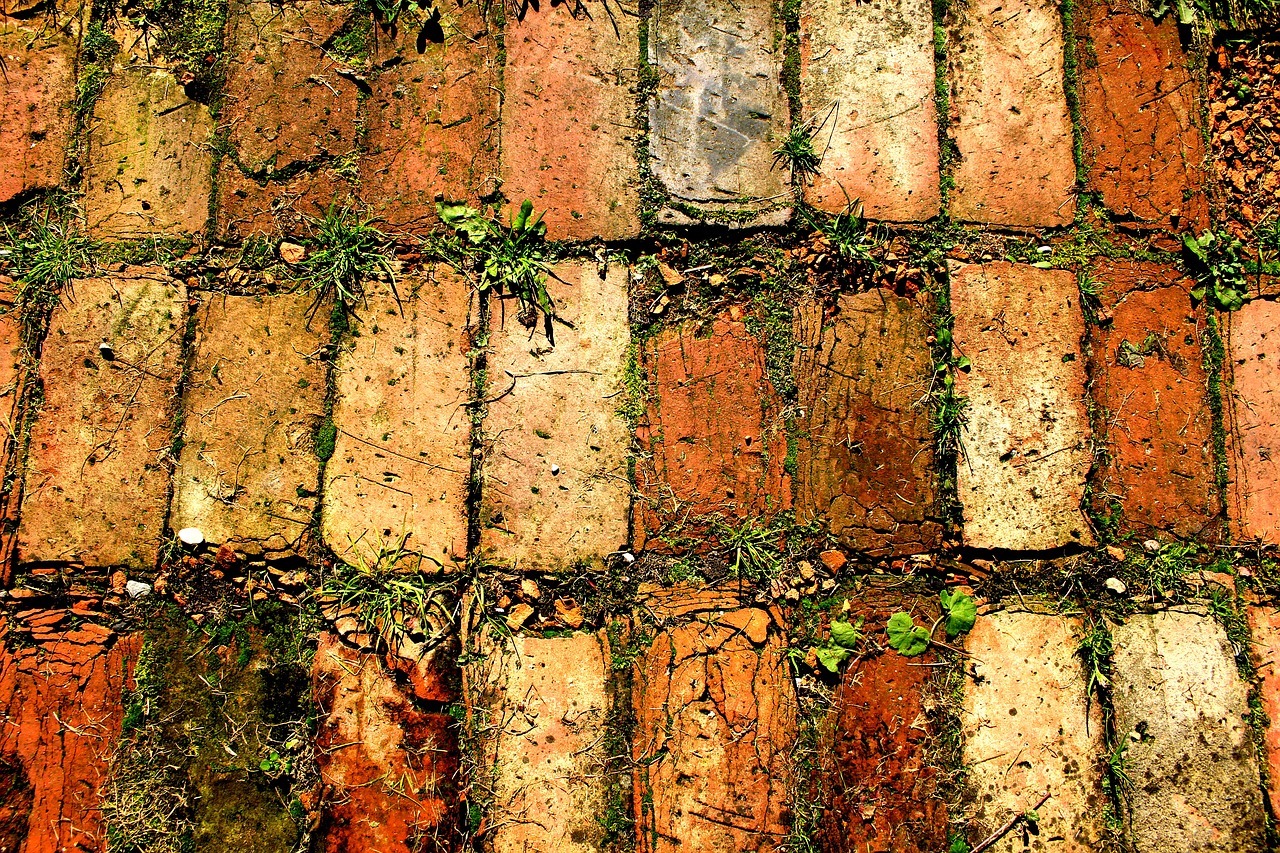 structure sample brick free photo