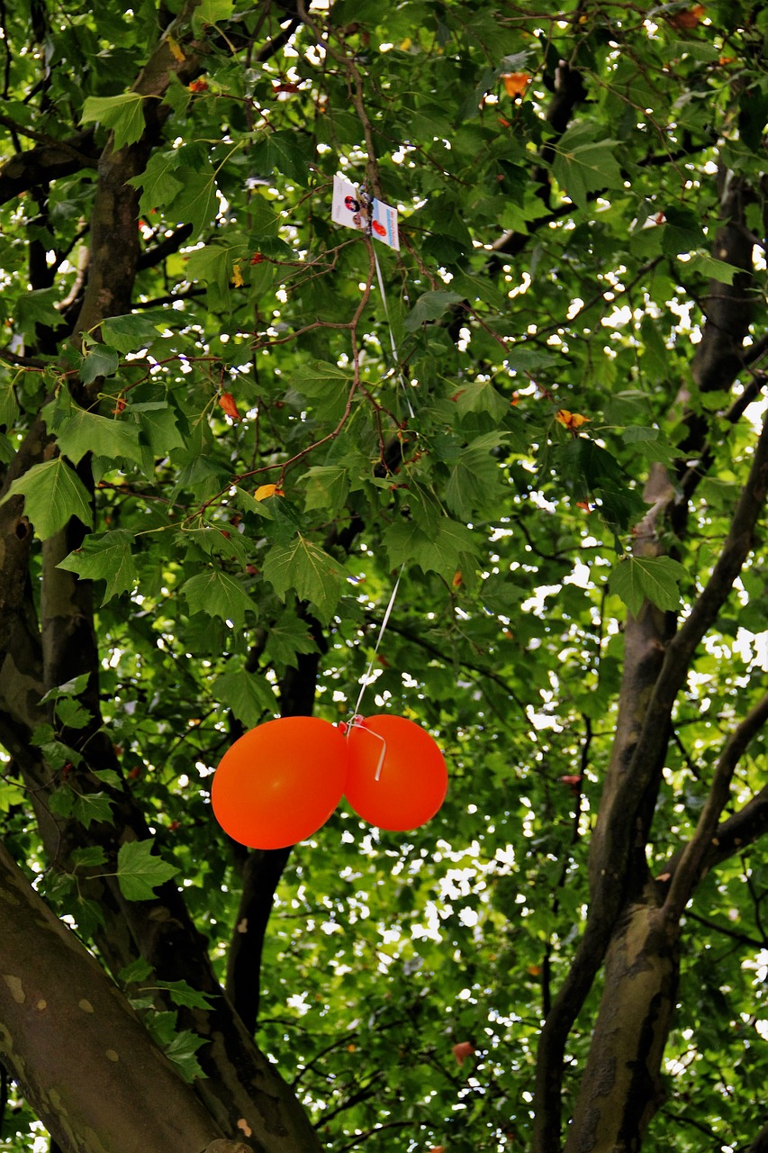 stuck air balloon competition orange free photo
