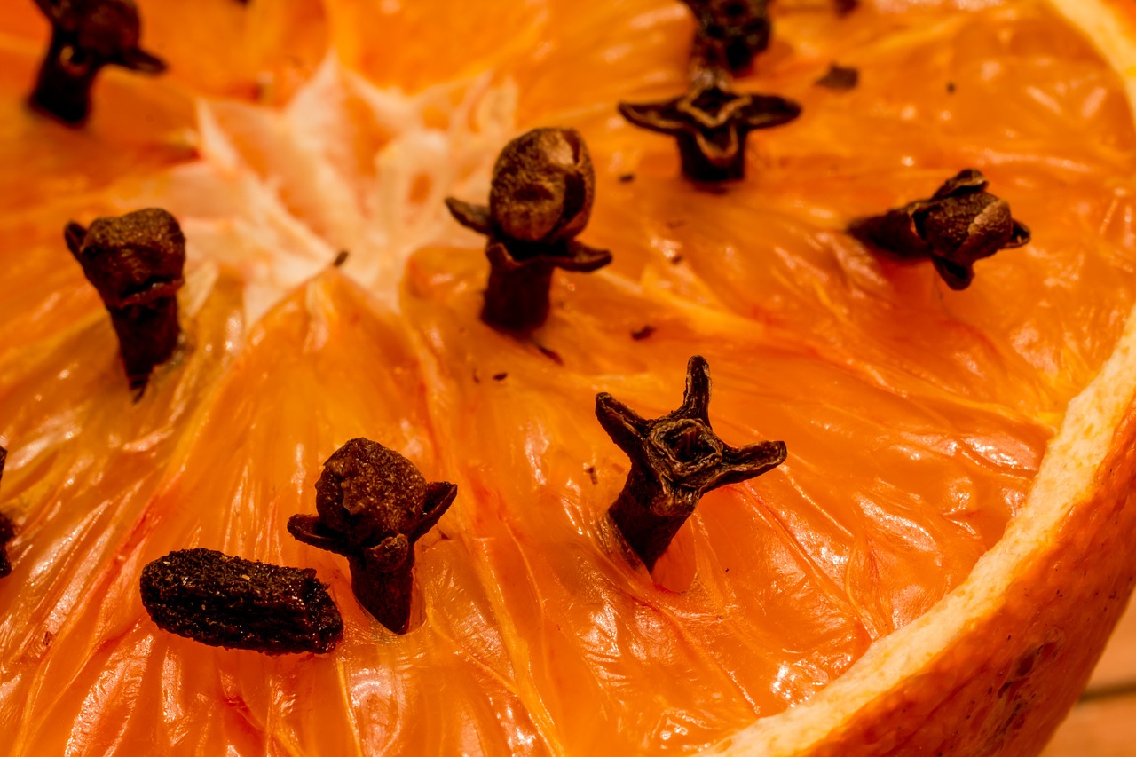 studded orange clove syzygium aromaticum free photo