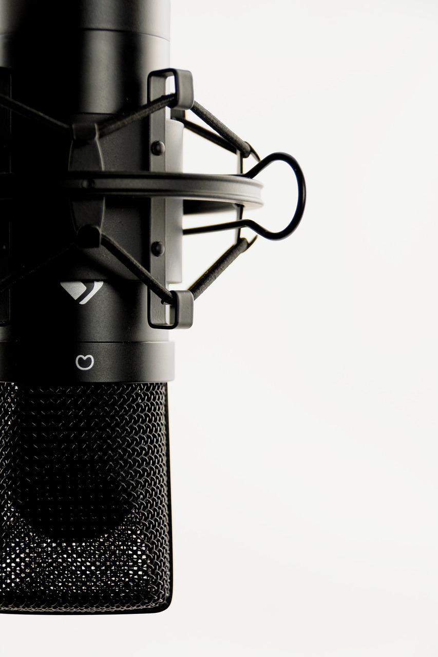 studio microphone vocal microphone free photo